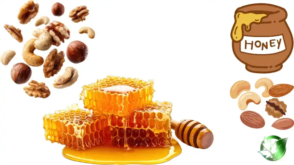 Exporter evaluation for Honey Mix Nuts should cover specification, packaging, paperwork, logistics, and all-in receiving cost.